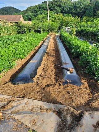 땅땅님의 자유주제 · 자유게시판 작성글 사진