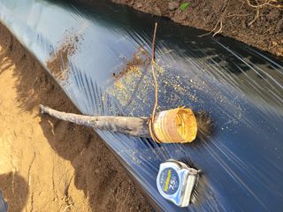 땅땅님의 자유주제 · 자유게시판 작성글 사진