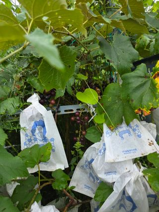 이원복님의 자유주제 · 사진전 작성글 사진