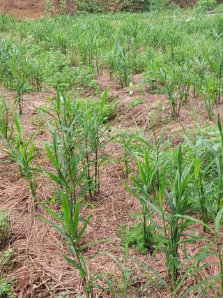 정용준님의 자유주제 · 자유게시판 작성글 사진