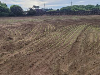 한경훈님의 자유주제 · 사진전 작성글 사진