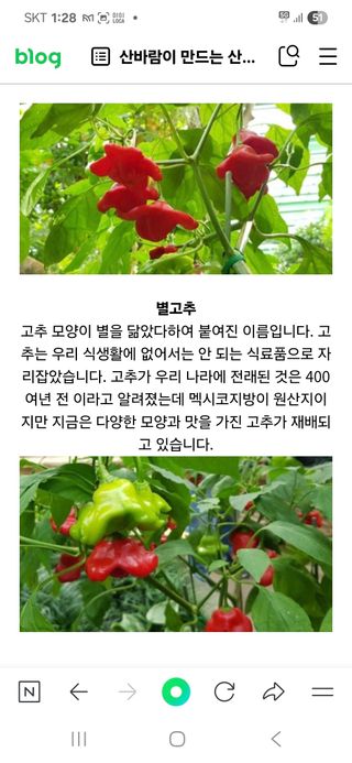 알 수 없음님의 자유주제 · 자유게시판 작성글 사진