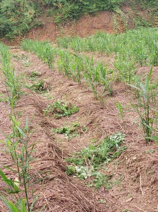 정용준님의 자유주제 · 자유게시판 작성글 사진