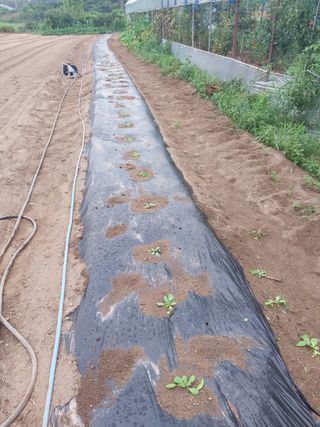 정용준님의 자유주제 · 자유게시판 작성글 사진