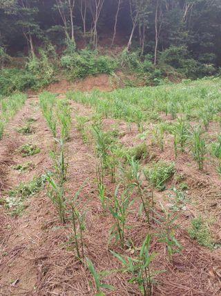 정용준님의 자유주제 · 자유게시판 작성글 사진