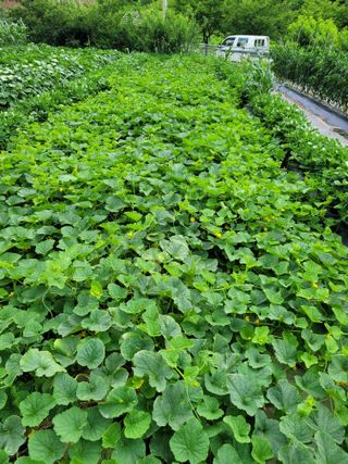 땅땅님의 자유주제 · 자유게시판 작성글 사진