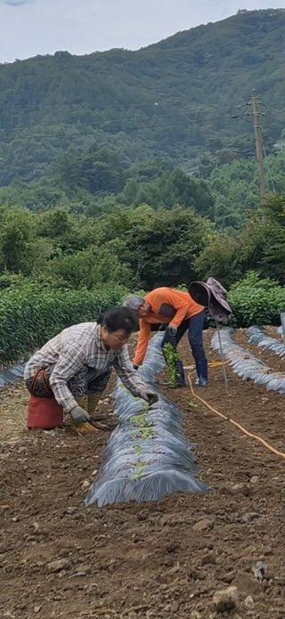 장봉덕님의 자유주제 · 자유게시판 작성글 사진