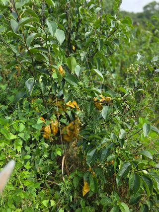 이원복님의 자유주제 · 사진전 작성글 사진