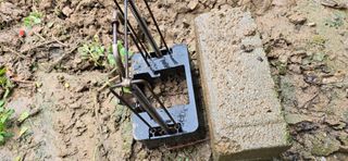 진촌다육묘목농원님의 자유주제 · 자유게시판 작성글 사진