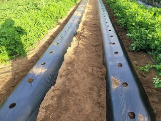 땅땅님의 자유주제 · 자유게시판 작성글 사진