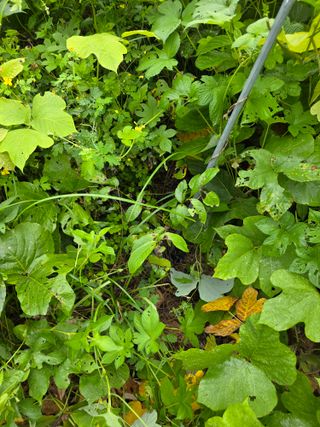 이원복님의 자유주제 · 사진전 작성글 사진