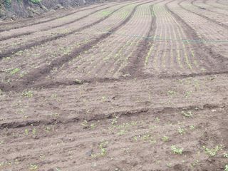 한경훈님의 자유주제 · 사진전 작성글 사진