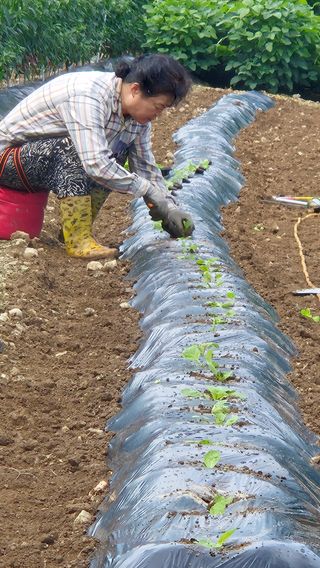 장봉덕님의 자유주제 · 자유게시판 작성글 사진