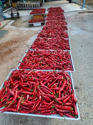 김미숙님의 자유주제 · 자유게시판 작성글 사진