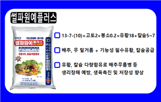 엔피코뉴스님의 자유주제 · 자유게시판 작성글 사진