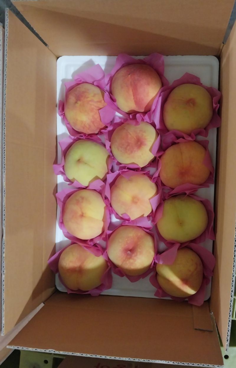 장터 상품 [황도 복숭아 15과에서17과] 썸네일