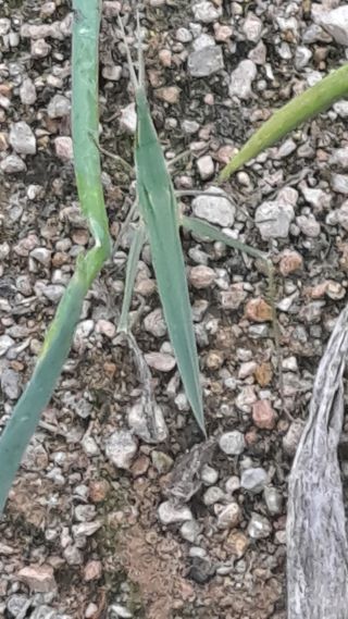 MSG0074님의 자유주제 · 자유게시판 작성글 사진