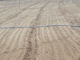 한경훈님의 자유주제 · 사진전 작성글 사진