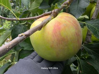 화성농원님의 자유주제 · 자유게시판 작성글 사진