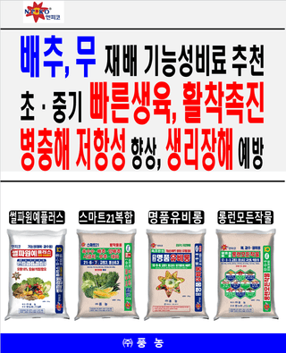 엔피코뉴스님의 자유주제 · 자유게시판 작성글 사진