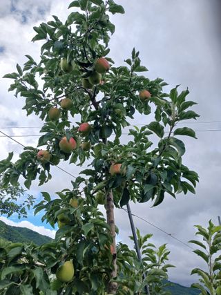 알 수 없음님의 자유주제 · 자유게시판 작성글 사진