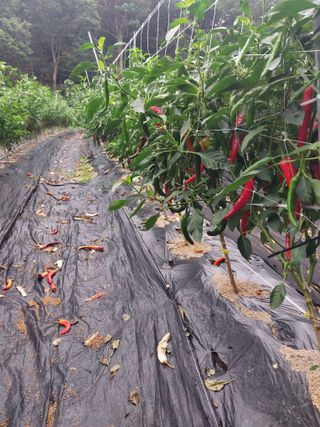 정용준님의 자유주제 · 자유게시판 작성글 사진