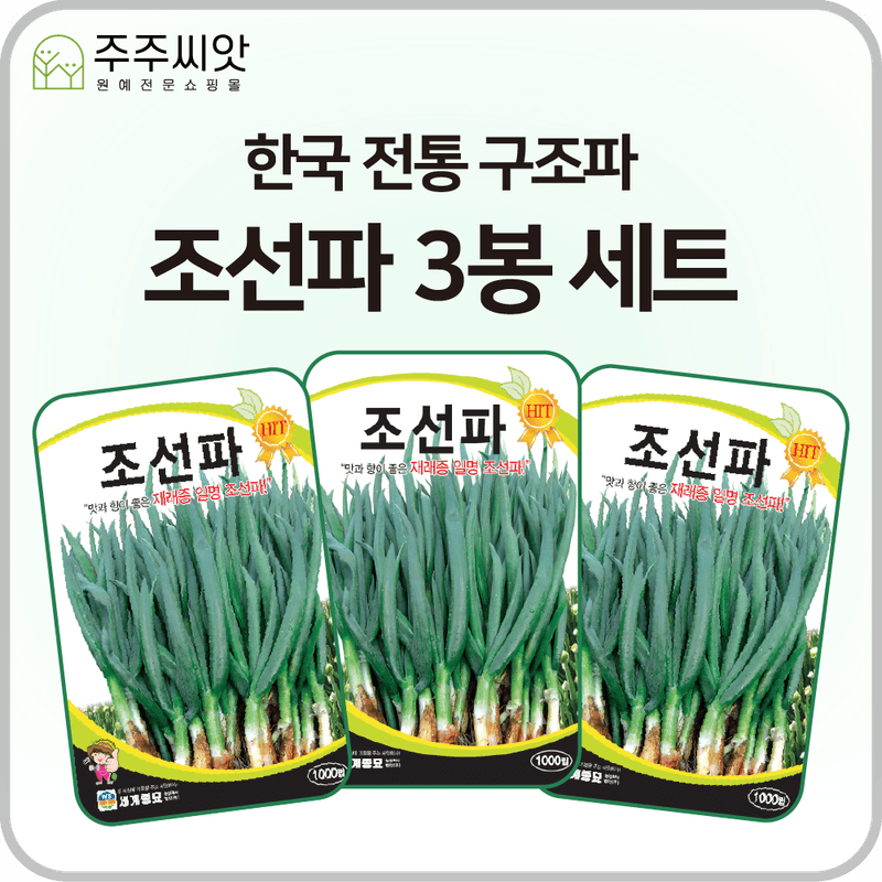 장터 상품 [조선파 3봉 세트 / 구조파 / 파 씨앗] 썸네일