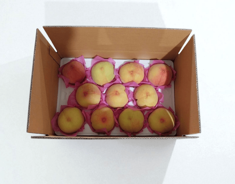 벌꿀*직접생산농장님의 장터 판매 상품 [황도 복숭아 15과에서17과] 첨부 사진