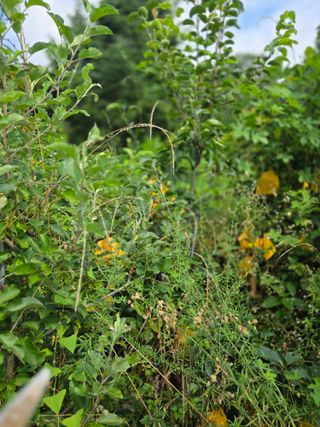 이원복님의 자유주제 · 사진전 작성글 사진