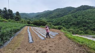 장봉덕님의 자유주제 · 자유게시판 작성글 사진