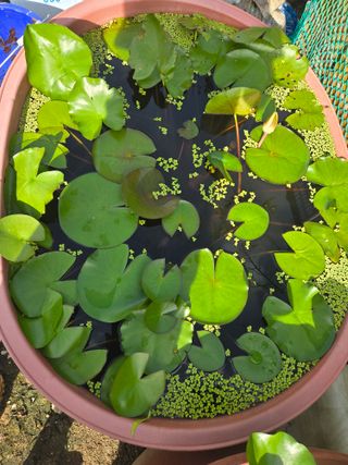 자연인님의 자유주제 · 자유게시판 작성글 사진