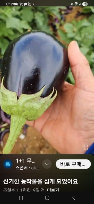 김황기님의 자유주제 · 자유게시판 작성글 사진