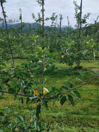 숲속의사나이님의 자유주제 · 자유게시판 작성글 사진