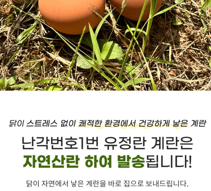 스피드번님의 장터 판매 상품 [달걀 20구 (유정란 난각번호1번)] 첨부 사진