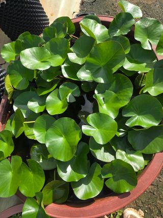 자연인님의 자유주제 · 자유게시판 작성글 사진