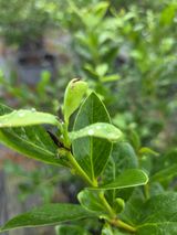 팜모닝 자유주제·자유게시판 게시글 이미지