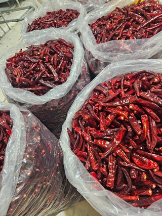 아이농장님의 고추 · 일상 작성글 사진