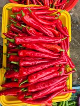 팜모닝 자유주제·자유게시판 게시글 이미지