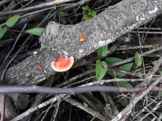 나수미님의 자유주제 · 자유게시판 작성글 사진