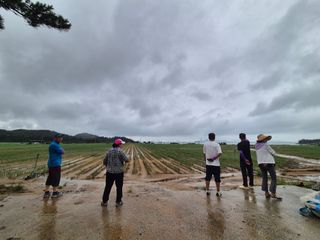 준영농장 출석왕.님의 자유주제 · 자유게시판 작성글 사진