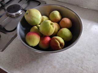 알 수 없음님의 자유주제 · 자유게시판 작성글 사진