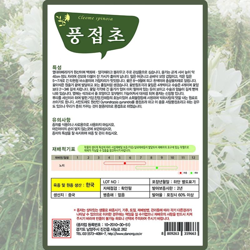 산들마켓,씨앗마켓님의 장터 판매 상품 [백색 풍접초 씨앗 200립 족두리꽃 꽃씨  종자 5개+랜덤씨앗1개 증정] 첨부 사진