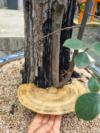 귀린이님의 농사, 무엇이든 물어보세요! · 참여글 작성글 사진