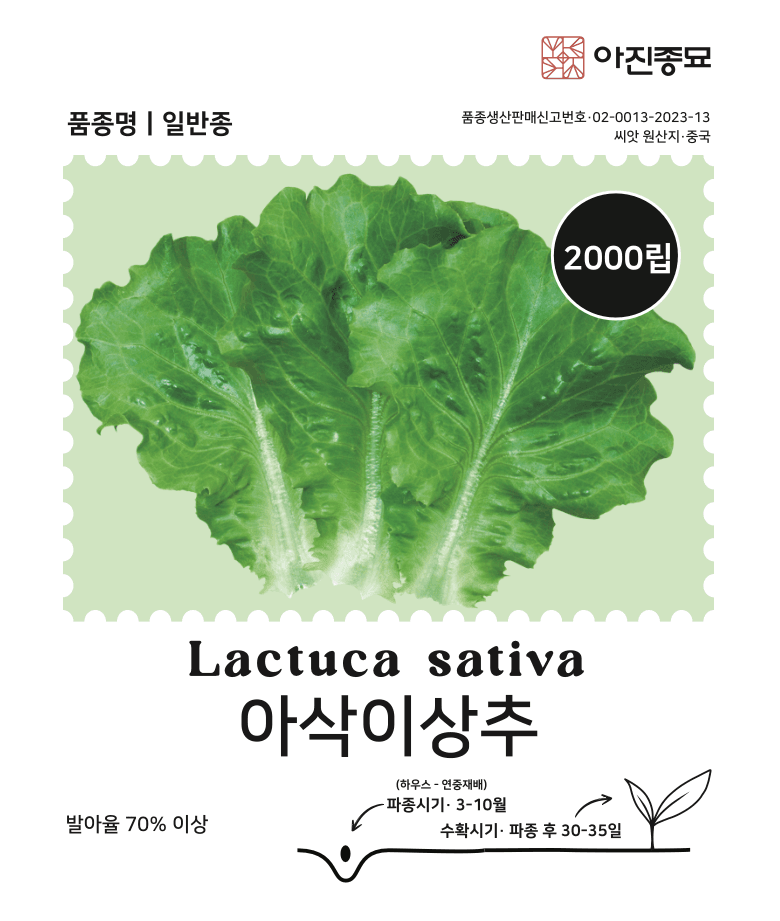 주주씨앗님의 장터 판매 상품 [사계절 상추 씨앗 4종 세트 / 봄, 가을 파종 / 아삭이, 적로메인, 적치마, 담배상추] 첨부 사진