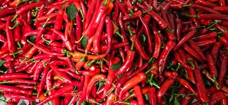 임 촌장.님의 자유주제 · 자유게시판 작성글 사진