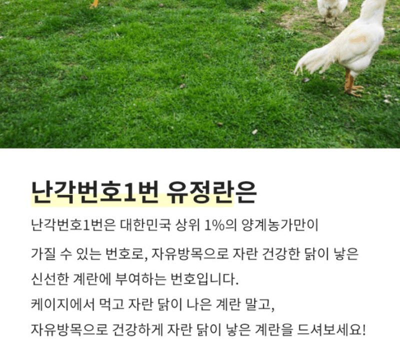 스피드번님의 장터 판매 상품 [달걀 20구 (유정란 난각번호1번)] 첨부 사진