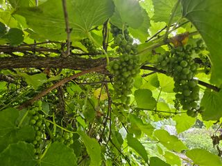 h.정님의 자유주제 · 자유게시판 작성글 사진