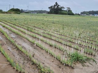 준영농장 출석왕.님의 자유주제 · 자유게시판 작성글 사진