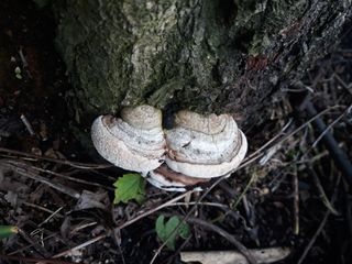 나수미님의 자유주제 · 자유게시판 작성글 사진