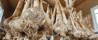 마늘17273님의 자유주제 · 자유게시판 작성글 사진